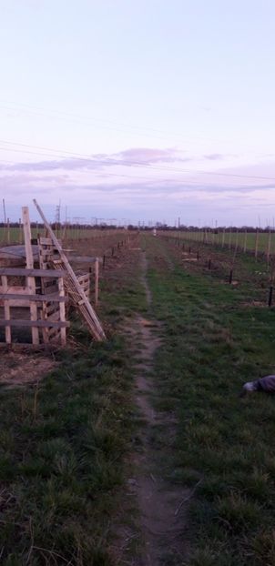  - Livada 1 anul ll 2019