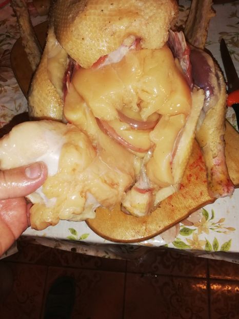  - Bunătăți obținute din GÂȘTE