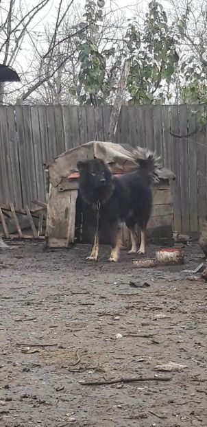 Screenshot_20191202-110410_Video Player - Caucazian rau