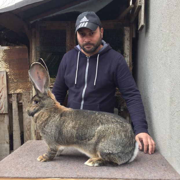 9,2 kg plecată la Laszlo Barcsa in Ungaria - RO 8-128194