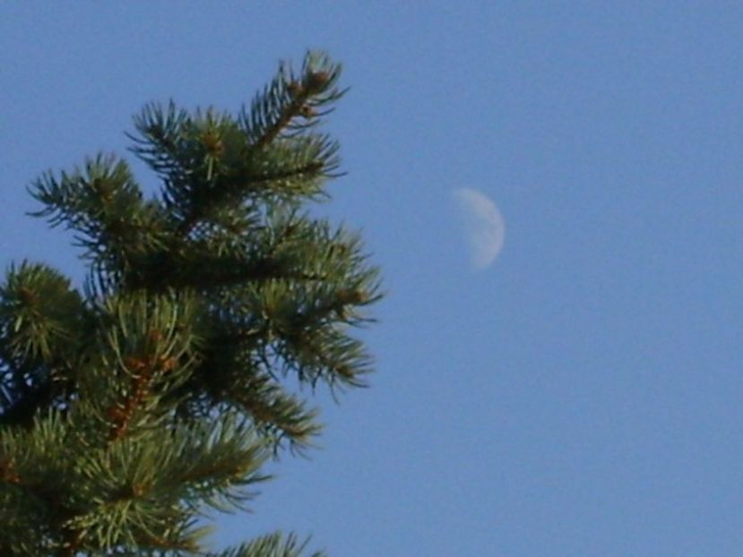 Primul patrar al Lunii in Pesti - Luna - Soarele si norii - 2