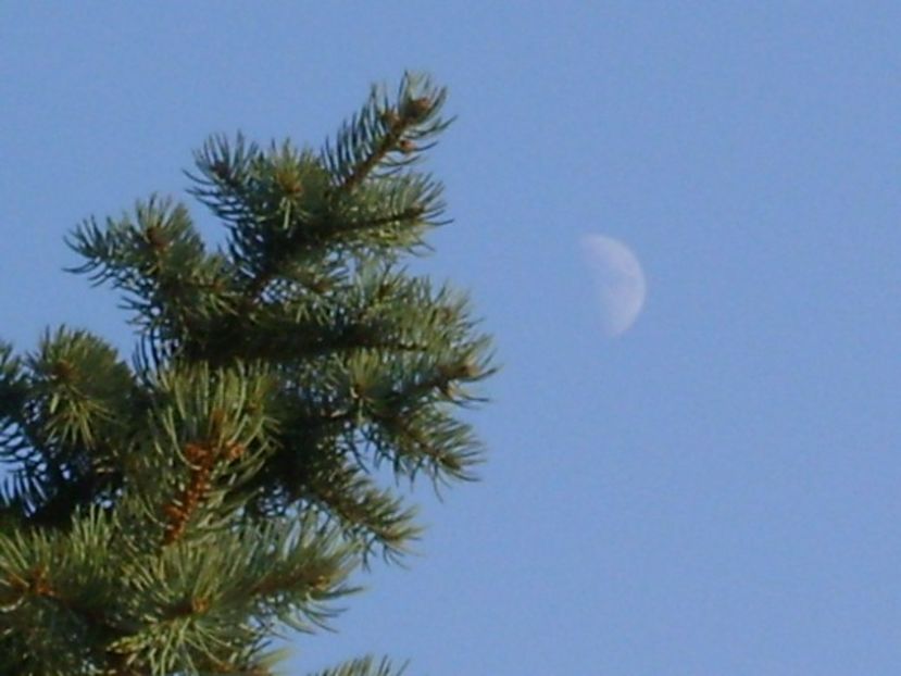 Primul patrar al Lunii in Pesti - Luna - Soarele si norii - 2
