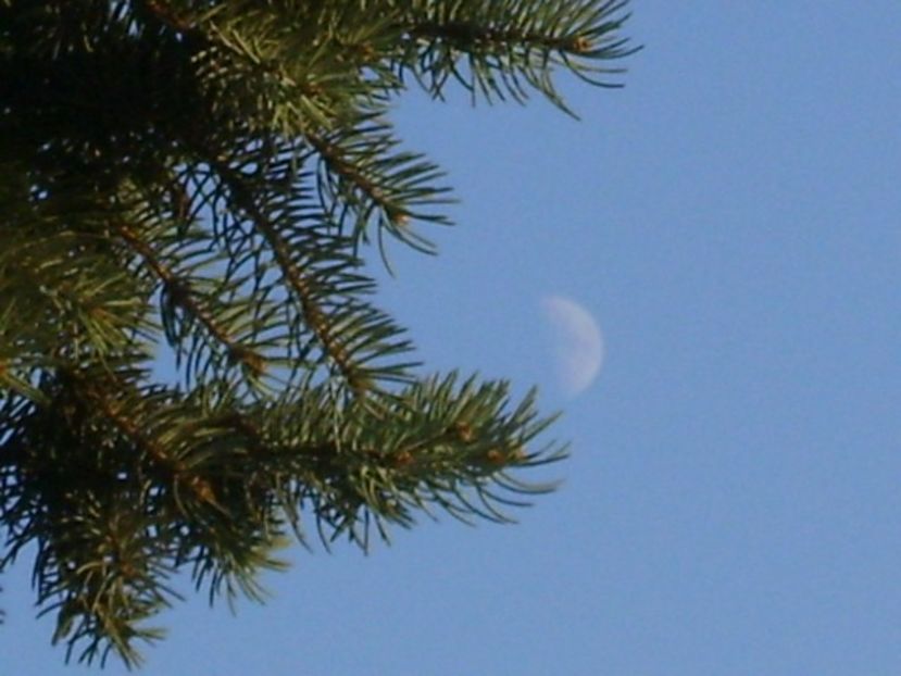 Primul patrar al Lunii in Pesti - Luna - Soarele si norii - 2