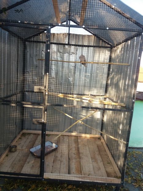  - Noua volieră ptr turturele rizătoare