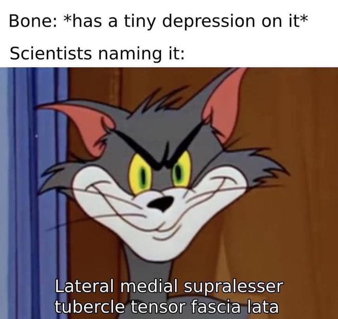 E4BD477C-CDC7-43A7-B16A-CFA4BCD4978A - w i remember the rush