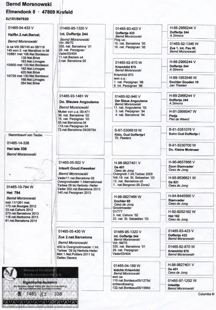 Morsnowski 338-14 - Bernd Morsnowski