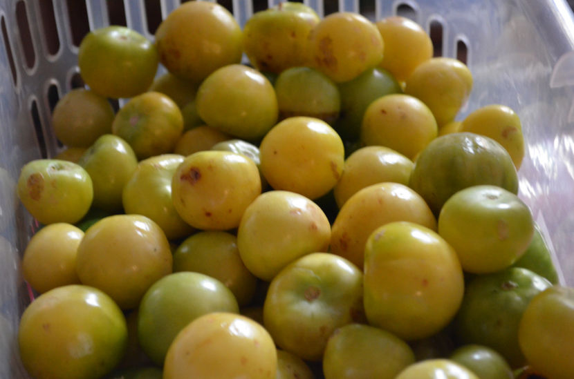 Tomatillo - ProVegan