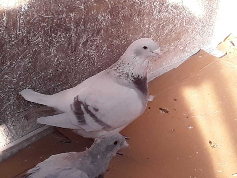 20191206_134949(0) - CONTACT