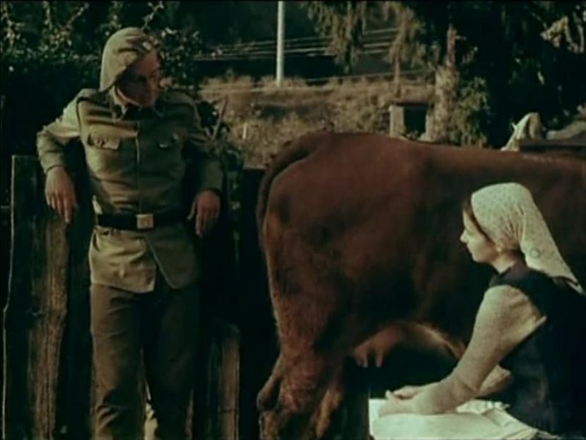 Fructe De Padure - Fructe De Padure 1983