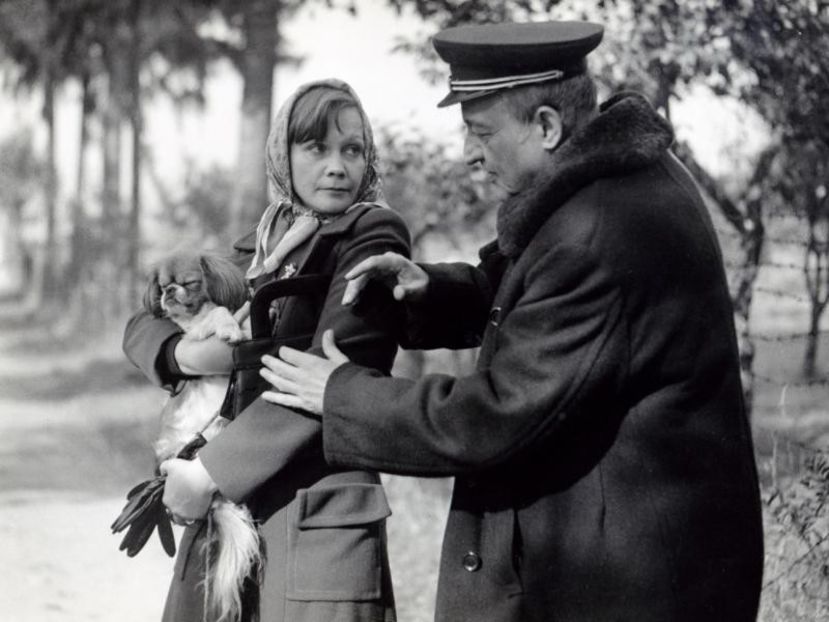 Fructe De Padure - Fructe De Padure 1983