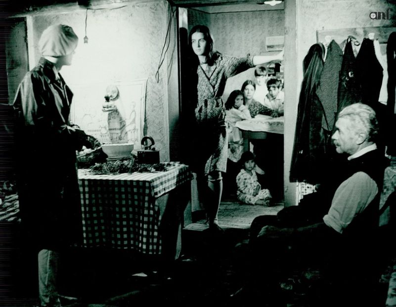 Fructe De Padure - Fructe De Padure 1983