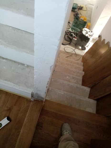  - 2019 Scari Interioare