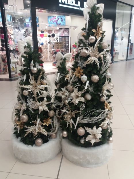  - La plimbare prin Vîlcea la mall