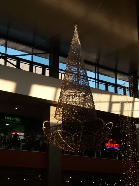  - La plimbare prin Vîlcea la mall