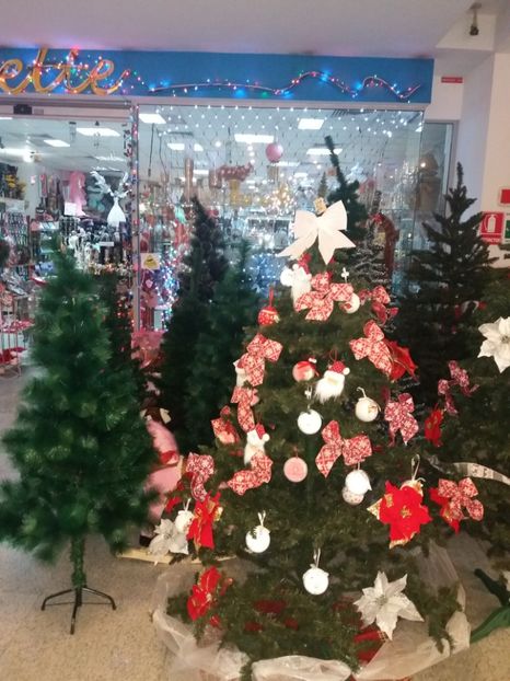  - La plimbare prin Vîlcea la mall