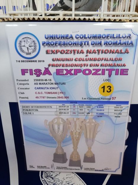 - 2019-Expozitia Nationala UCPR-Targoviste