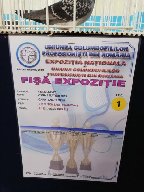  - 2019-Expozitia Nationala UCPR-Targoviste