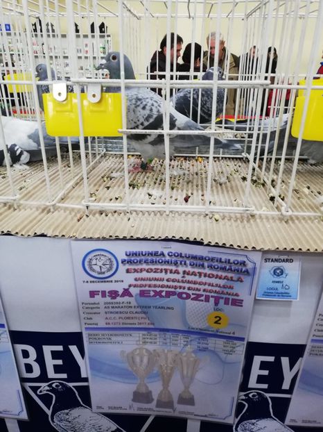  - 2019-Expozitia Nationala UCPR-Targoviste