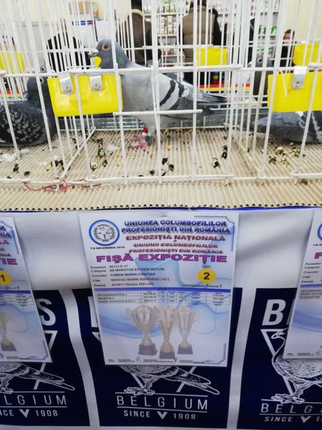  - 2019-Expozitia Nationala UCPR-Targoviste