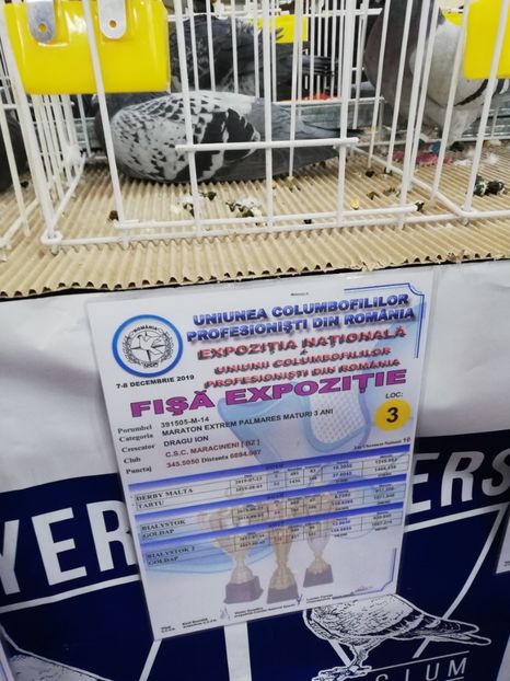  - 2019-Expozitia Nationala UCPR-Targoviste