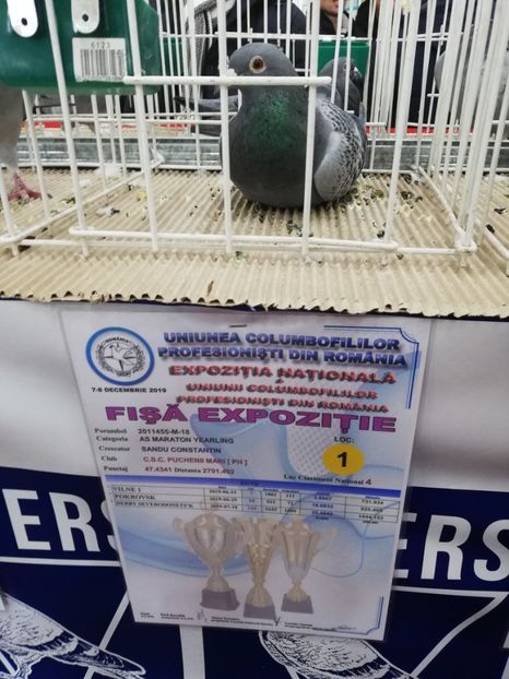  - 2019-Expozitia Nationala UCPR-Targoviste