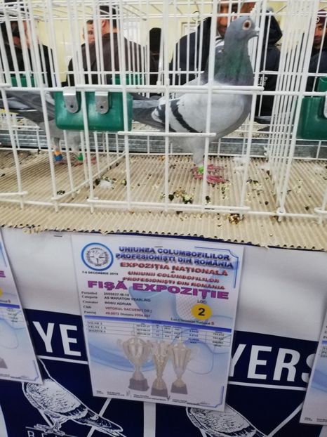  - 2019-Expozitia Nationala UCPR-Targoviste