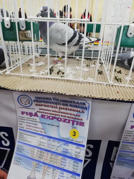  - 2019-Expozitia Nationala UCPR-Targoviste