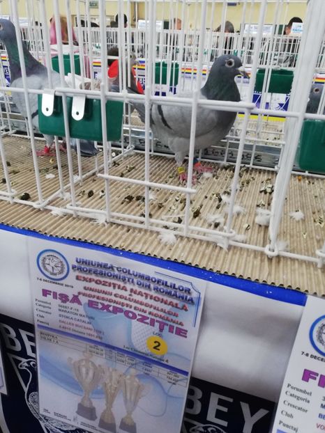  - 2019-Expozitia Nationala UCPR-Targoviste