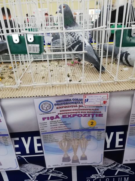  - 2019-Expozitia Nationala UCPR-Targoviste