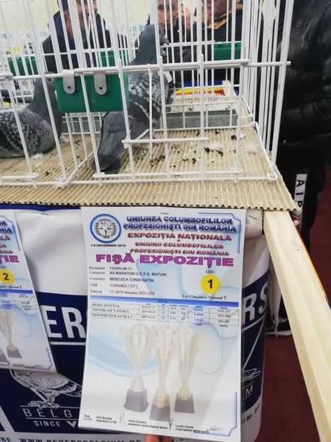  - 2019-Expozitia Nationala UCPR-Targoviste