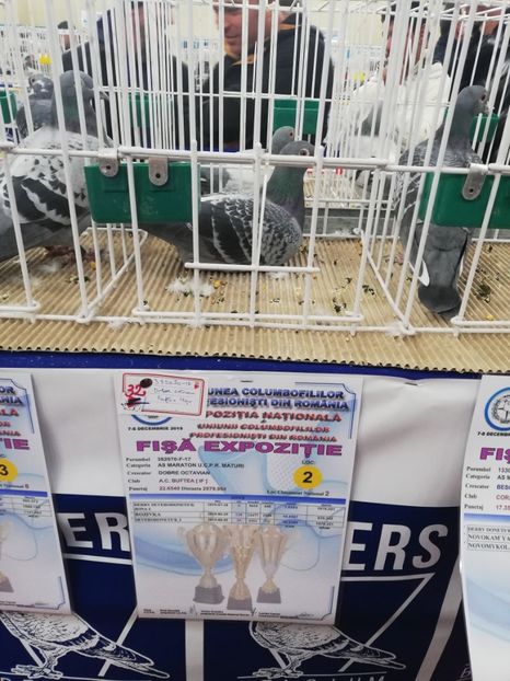  - 2019-Expozitia Nationala UCPR-Targoviste