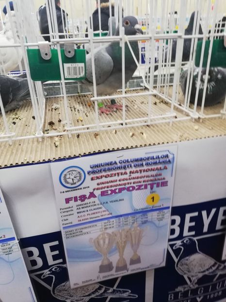  - 2019-Expozitia Nationala UCPR-Targoviste