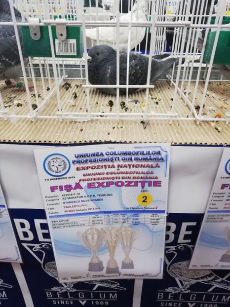  - 2019-Expozitia Nationala UCPR-Targoviste