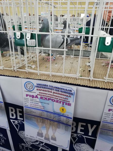  - 2019-Expozitia Nationala UCPR-Targoviste