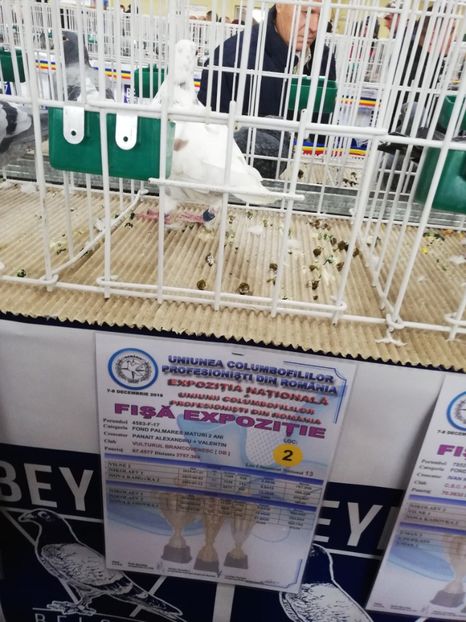  - 2019-Expozitia Nationala UCPR-Targoviste