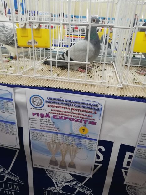  - 2019-Expozitia Nationala UCPR-Targoviste