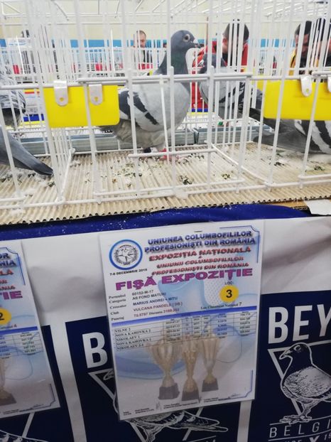  - 2019-Expozitia Nationala UCPR-Targoviste