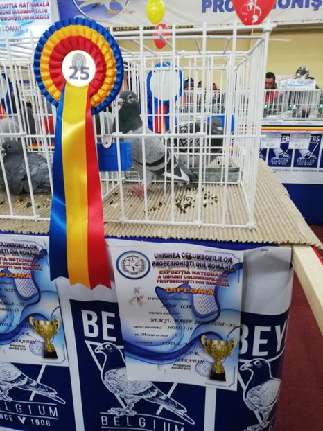  - 2019-Expozitia Nationala UCPR-Targoviste