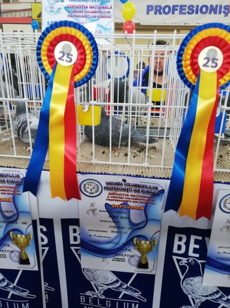  - 2019-Expozitia Nationala UCPR-Targoviste