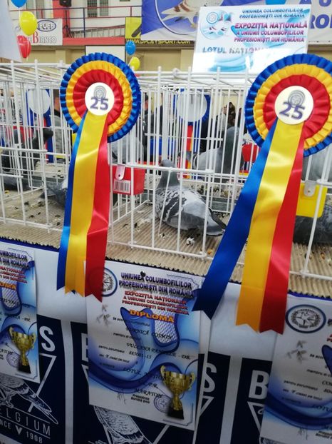  - 2019-Expozitia Nationala UCPR-Targoviste