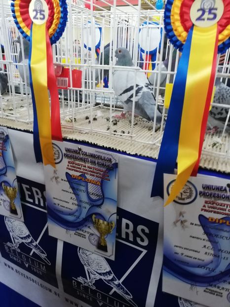  - 2019-Expozitia Nationala UCPR-Targoviste