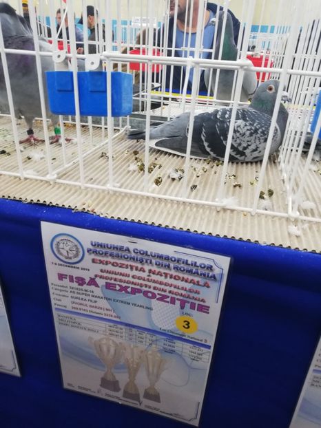  - 2019-Expozitia Nationala UCPR-Targoviste