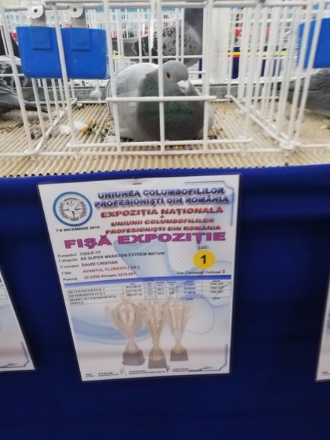  - 2019-Expozitia Nationala UCPR-Targoviste