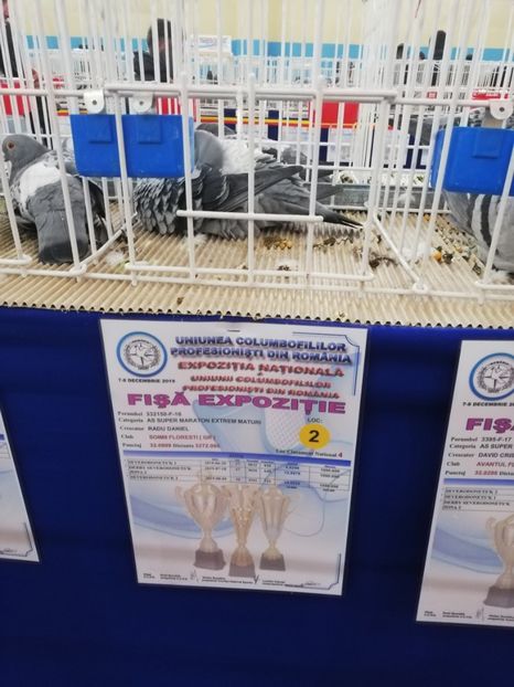  - 2019-Expozitia Nationala UCPR-Targoviste