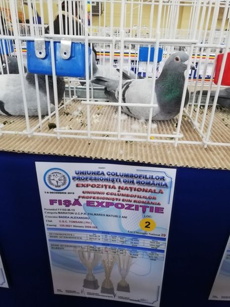  - 2019-Expozitia Nationala UCPR-Targoviste