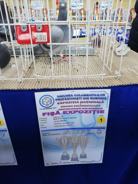  - 2019-Expozitia Nationala UCPR-Targoviste