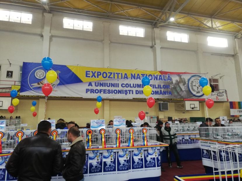  - 2019-Expozitia Nationala UCPR-Targoviste
