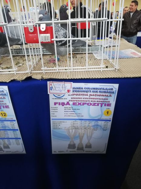  - 2019-Expozitia Nationala UCPR-Targoviste