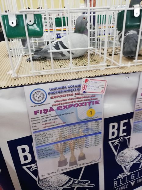  - 2019-Expozitia Nationala UCPR-Targoviste