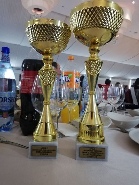  - 2019-Expozitia Nationala UCPR-Targoviste